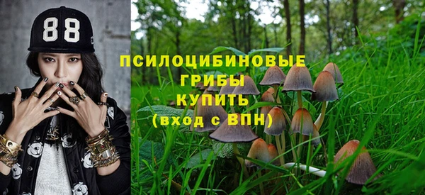 кокаин перу Дмитриев