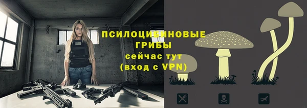 меф Дмитров