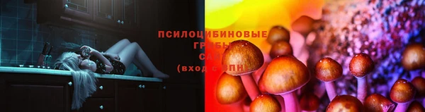 меф Дмитров