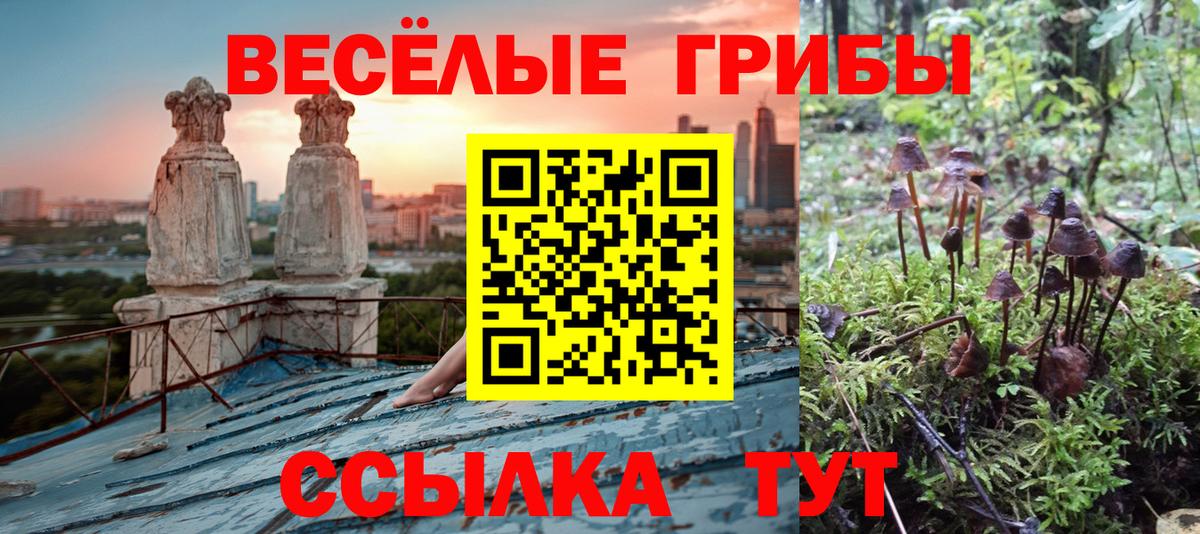 Галлюциногенные грибы GOLDEN TEACHER Ефремов