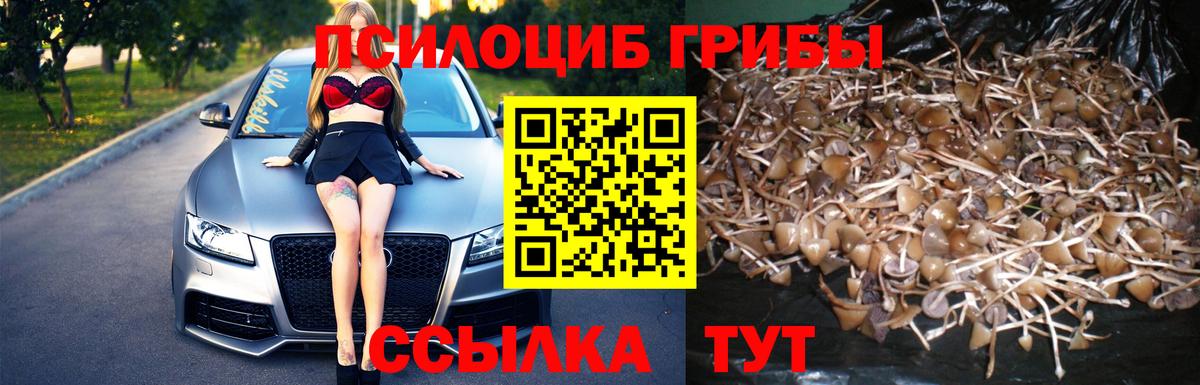 Псилоцибиновые грибы Psilocybine cubensis  Вход с VPN  Ефремов 